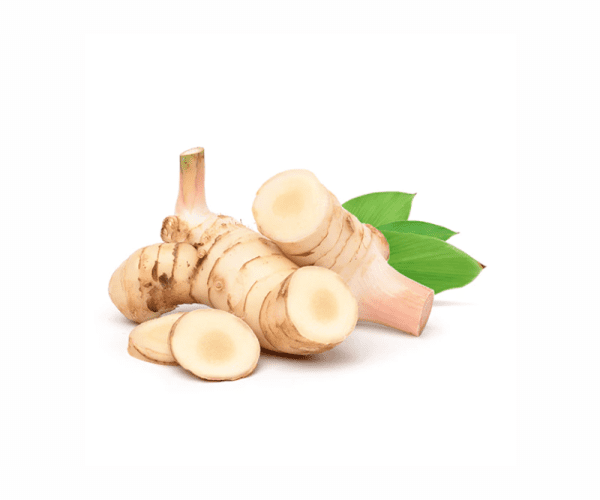 galangal root suppliers