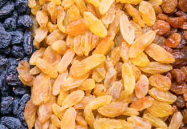 Raisins Exporters