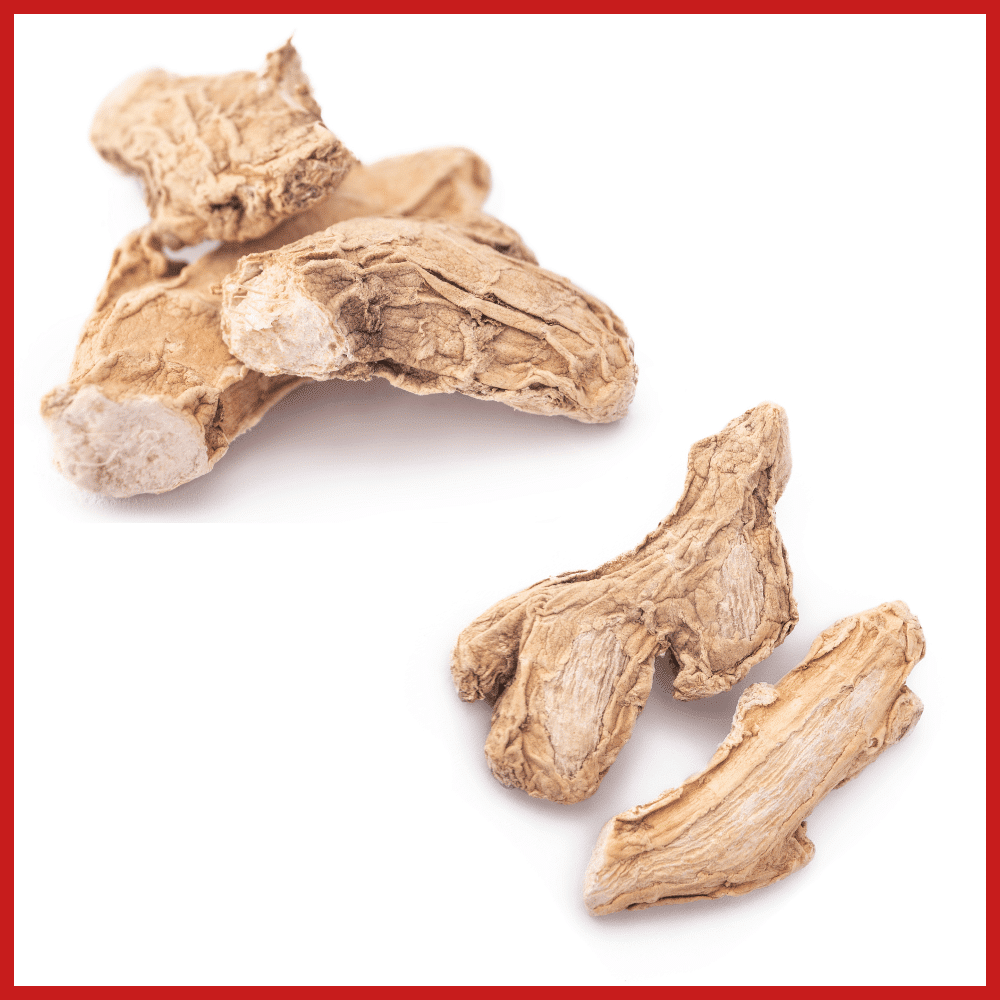 dry ginger exporter from india