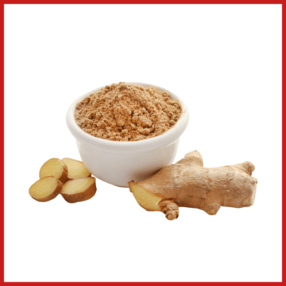dry ginger poeder exporter