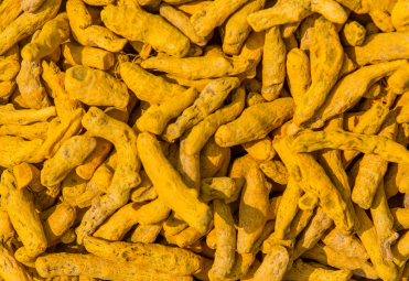 Turmeric Finger Exporters in India Turmeric Powder Manufacturers
