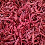Byadgi Chili