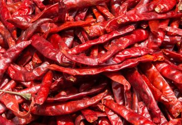 Red Chilli Exporters