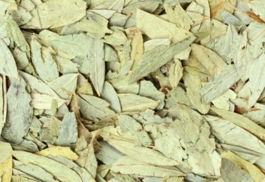 Senna Leaves & pods Senna Leaves & pods