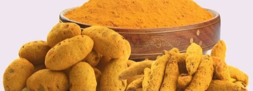 top organic turmeric powder manufacturer in india